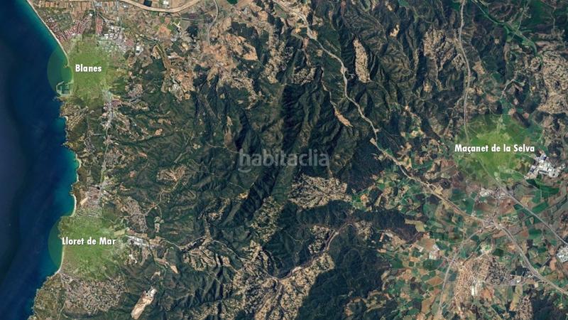 Foto f87aa0d3-f2af-472f-81f0-7a636f79333b. Finca rústica a Lloret Verd - Els Pinars Lloret de Mar