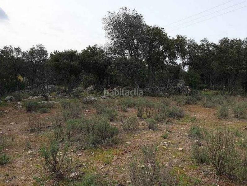 Foto 4dbe01e0-c80f-46bc-bdf7-d3926cf0048c. Finca rústica a Colmenar del Arroyo