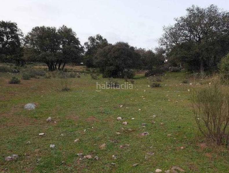 Foto 82137dd5-6621-41d8-b30f-281c645c99e7. Finca rústica a Colmenar del Arroyo