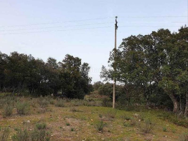 Foto ef62bb4a-f8a8-43ae-8e56-f1940783eb1c. Finca rústica a Colmenar del Arroyo