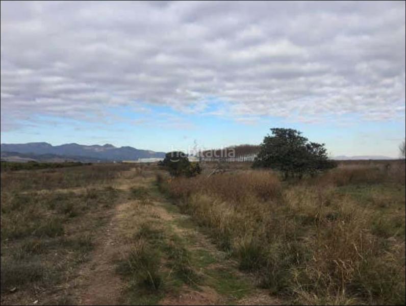 Foto 29caaca4-21d5-4756-a74e-0977ef2d83c5. Finca rústica solvia inmobiliaria suelo urbano xilxes en Chilches