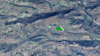 Finca rústica  Cortijo de el fraile. Solvia inmobiliaria  suelo rústico huelma