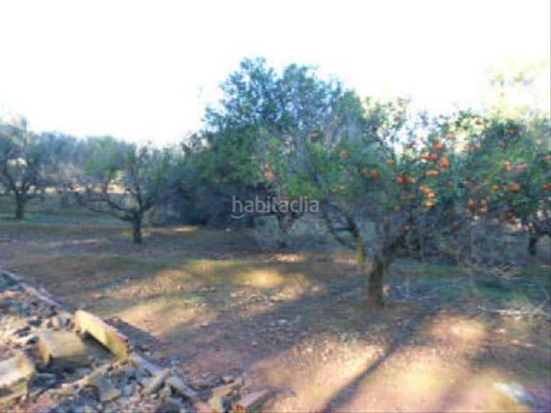 Foto f3ab0c74-5df6-4eb7-a2b4-085d3fe07368. Finca rústica solvia inmobiliaria suelo rústico en Torres Torres