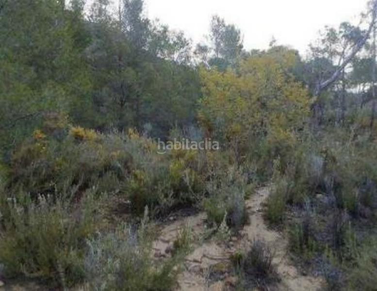 Foto f3d4b2fb-e939-40c1-b809-62f31b229eaa. Finca rústica solvia inmobiliaria suelo rústico en Torres Torres