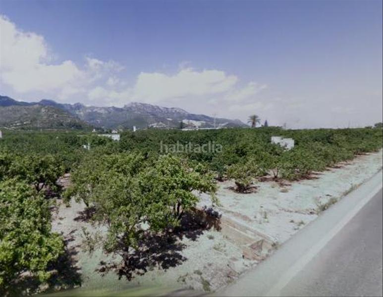 Foto 0d198cc1-b6be-4403-876b-3a788ae9e656. Finca rústica a Llaurí
