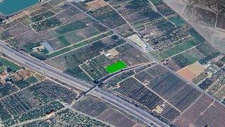 Finca rústica  C/ el pla de gorra, pol 7. Solvia inmobiliaria  suelo rústico llaurí