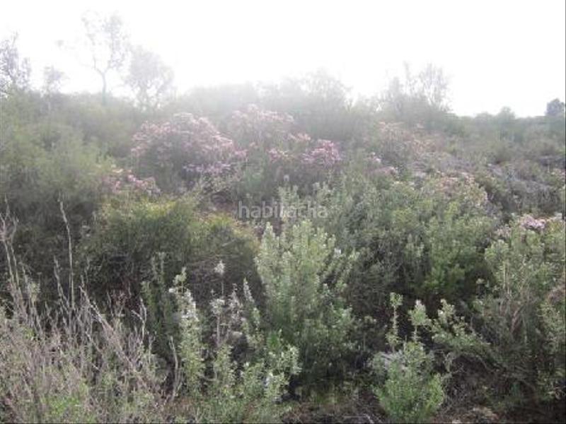 Foto 1c1ffd69-293f-479f-a7e2-3f07f8f7b01a. Finca rústica solvia inmobiliaria suelo rústico en San Rafael del Río