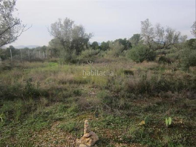 Foto 24d4d123-d2f4-42a7-9cf9-218f33764477. Finca rústica solvia inmobiliaria suelo rústico en San Rafael del Río