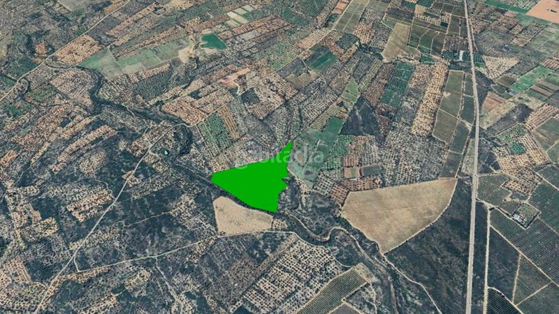 Foto 98f86e37-f5bd-478d-94fe-adddde963ab7. Finca rústica solvia inmobiliaria suelo rústico en San Rafael del Río