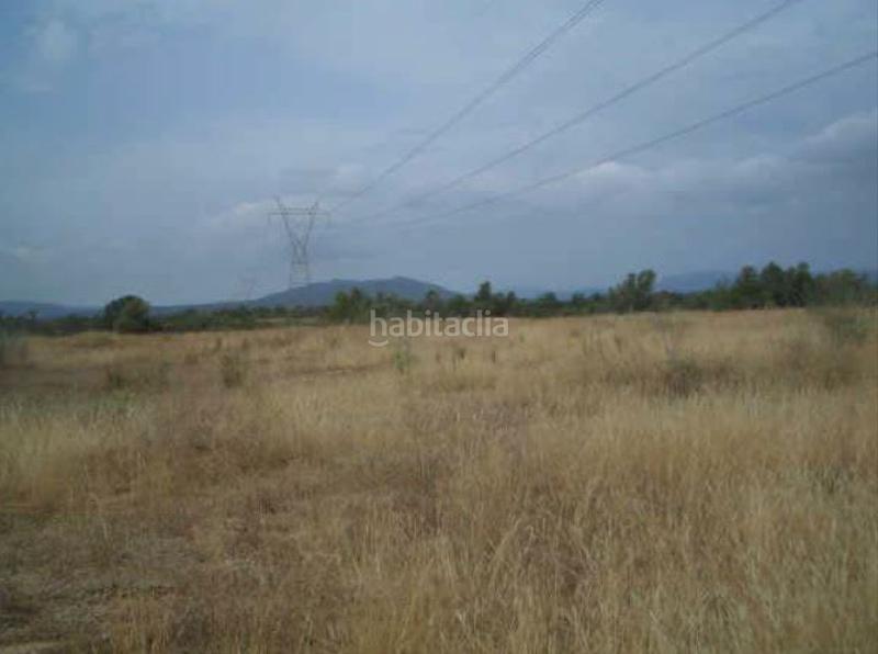 Foto fbb281e3-8504-43c7-b8e2-cfd142f27de9. Finca rústica solvia inmobiliaria suelo rústico en San Rafael del Río