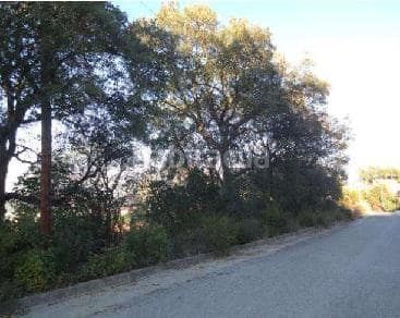 Foto 208d69d4-36ff-4172-9cb1-36a1accdcb03. Finca rústica a Montbarbat Maçanet de la Selva