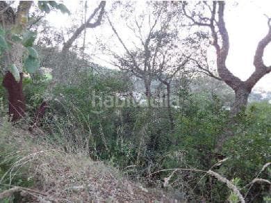 Foto 5ba418ab-3280-4e78-8bd1-b76e6c4fffef. Finca rústica a Montbarbat Maçanet de la Selva