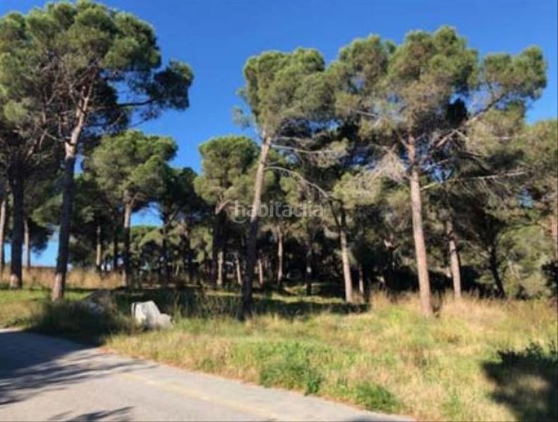 Foto 5a82779a-dd19-48b5-9239-3fa271cfbbfb. Finca rústica solvia inmobiliaria solares en Mas Mora-Sant Daniel Tordera