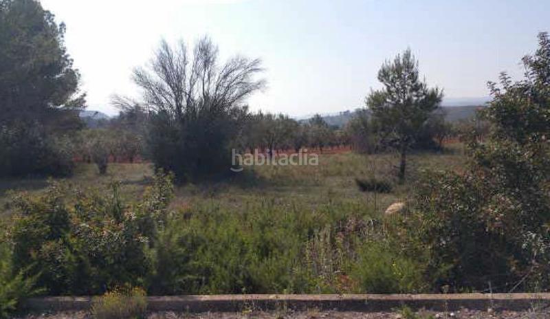 Foto 553c803c-9c17-4f5a-b1e9-c7548cda8610. Fondo rustico in Macastre