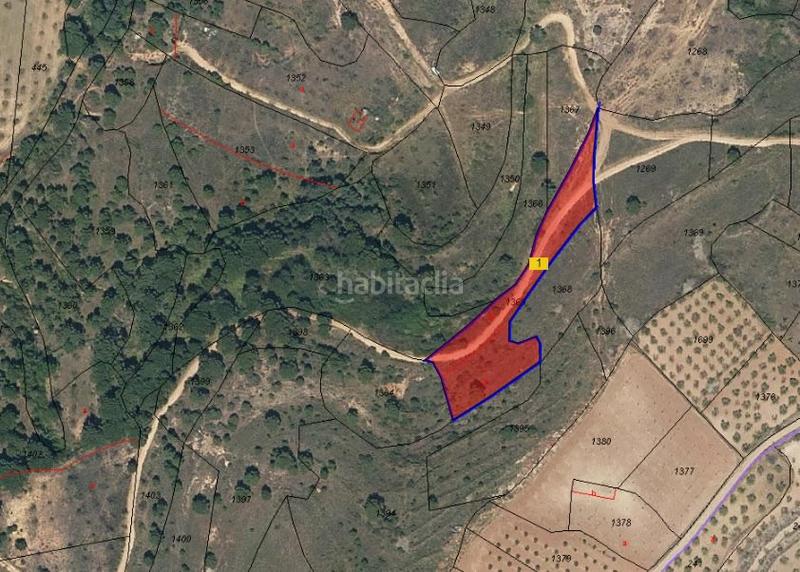 Finca rústica  Paraje vallota. Solvia inmobiliaria  suelo rústico arnedo