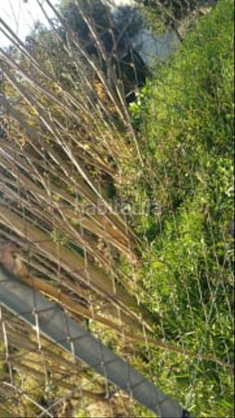 Foto 861e9ce4-c7cd-411a-99aa-9d7269af0fb2. Finca rústica solvia inmobiliaria solares en Gelida