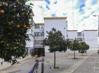 Pis  C/ la luisiana. Solvia inmobiliaria  piso sevilla