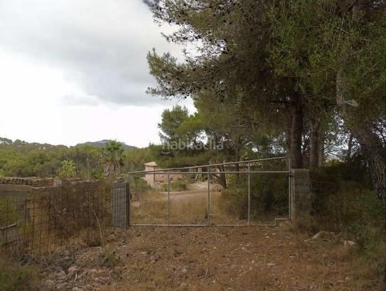 Foto 0a95bf67-2338-402f-bbbf-b494366eba47. Xalet a Manacor centre Manacor