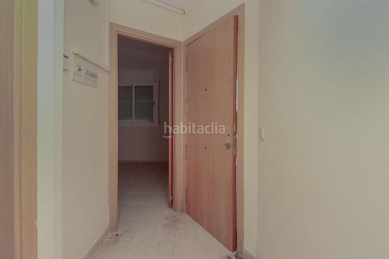 Foto 8a4bd9c6-58b9-4c1b-8e36-14d084c0def0. Pis a Eucaliptus - Poble Nou del Delta Amposta