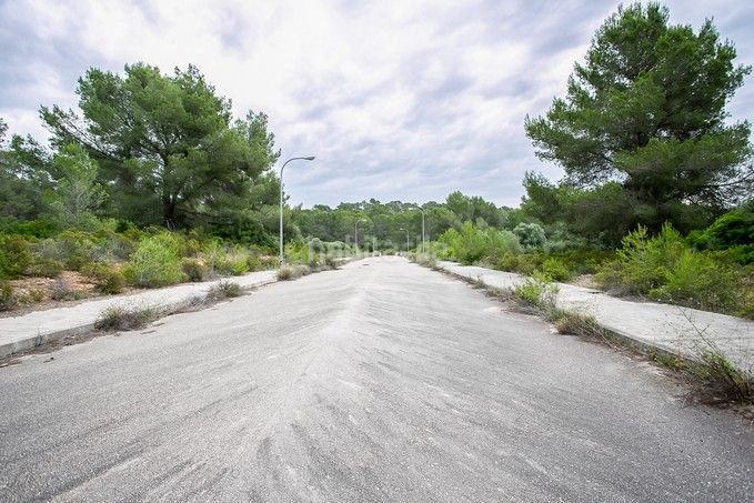 Foto 4f360a2a-db0d-43c9-8540-bd12f3721b3e. Finca rústica a Puntiró Palma de Mallorca