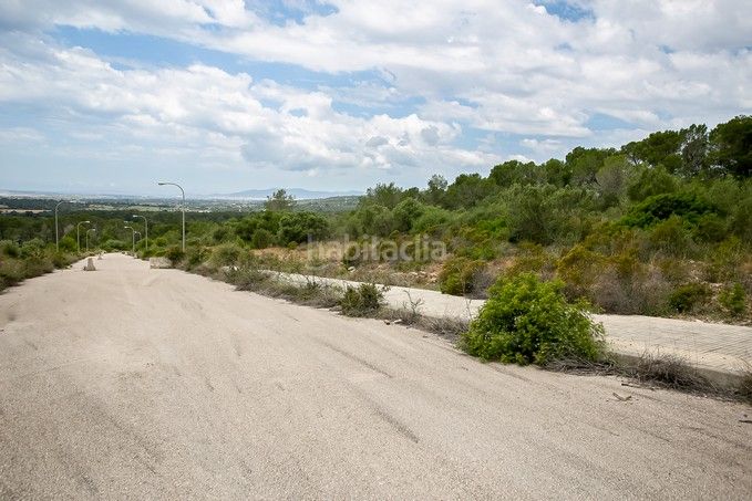 Foto 559ee400-3a8d-4ee8-a9ed-877be1225db9. Finca rústica a Puntiró Palma de Mallorca