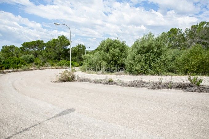 Foto 5f5753d2-0d36-48c0-a510-6990367ff733. Finca rústica a Puntiró Palma de Mallorca
