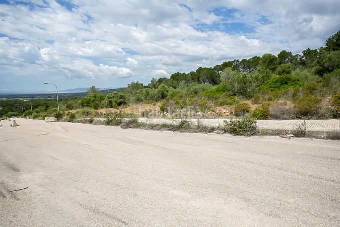 Foto 7be53393-b1c3-4d51-8543-21f8b88ea639. Finca rústica a Puntiró Palma de Mallorca