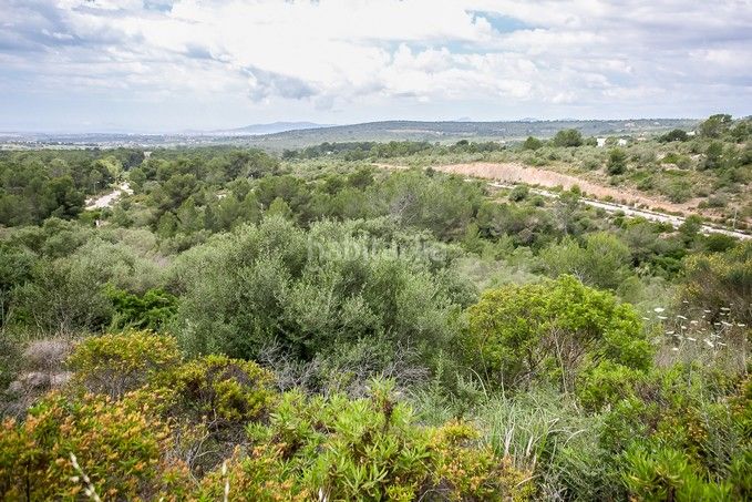 Foto 80b3b28e-eb5b-4f26-bf73-03ddfddf1da7. Finca rústica a Puntiró Palma de Mallorca
