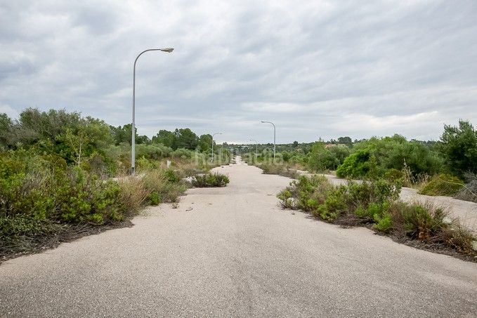 Foto 92716356-25b2-4481-b3f4-0581f8e8da65. Finca rústica a Puntiró Palma de Mallorca