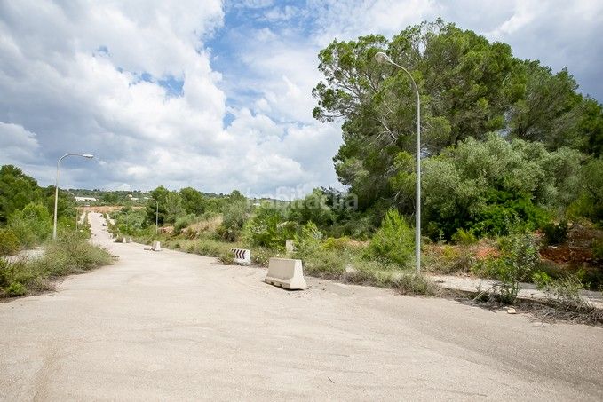 Foto b56d1210-599c-410f-bf7b-ac733c0d2c4b. Finca rústica a Puntiró Palma de Mallorca