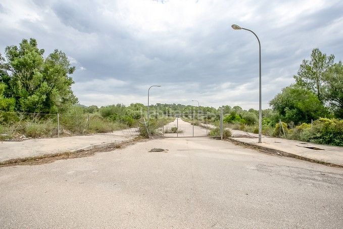 Foto cc957a03-8976-41a7-b2fb-53ebc363c1ad. Finca rústica a Puntiró Palma de Mallorca