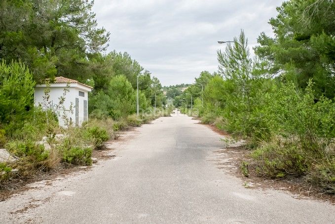 Foto df91368f-af7f-47e0-8289-a5e2dd59ed0f. Finca rústica a Puntiró Palma de Mallorca