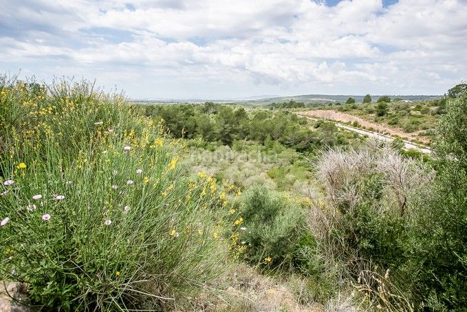 Foto f4fce80b-ffbf-40a8-bb96-345aedc81e55. Finca rústica a Puntiró Palma de Mallorca