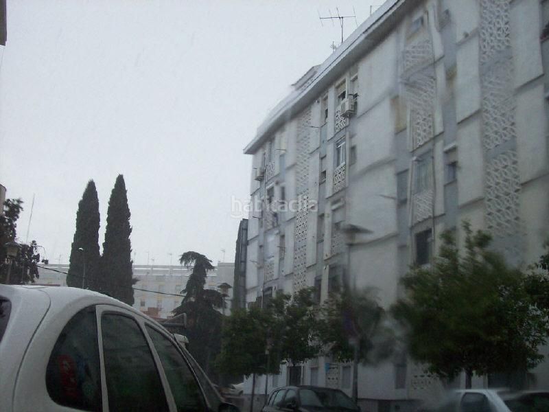 Foto 34596877-883a-4c84-b499-0299d7bb9282. Pis a San Pablo Sevilla