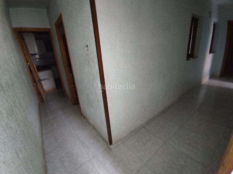 Foto 6be5f3e4-ef93-48b3-9f8f-8725e40ee282. Pis a Mula