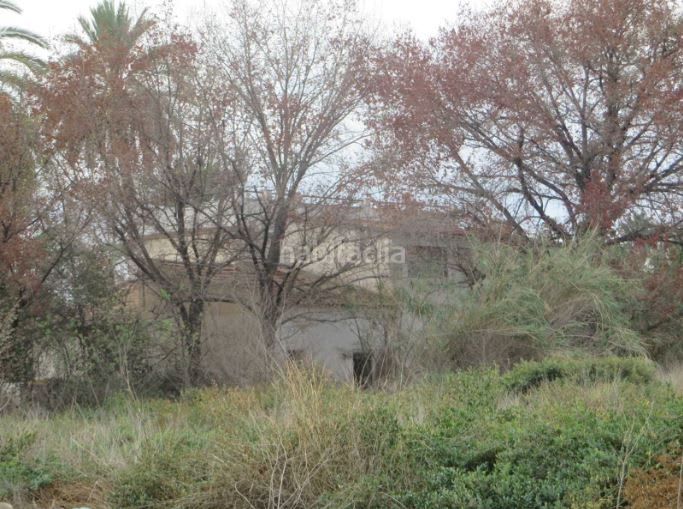 Foto 599d5266-47df-43e9-b545-074d686bd151. Finca rústica a Barrio del Progreso Murcia