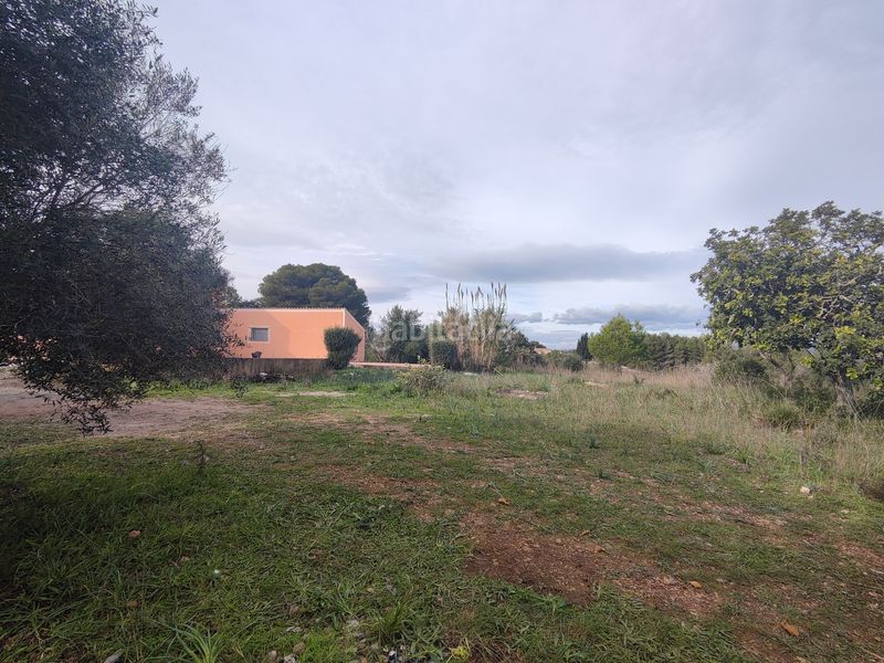 Foto a683e0bd-19a9-4d37-80bc-25a40a054599. Xalet a Artà poble Artà