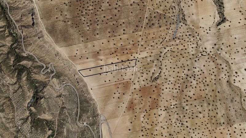 Foto d3ef5283-e126-4837-9509-c39b4e8886ab. Finca rústica a Guadix