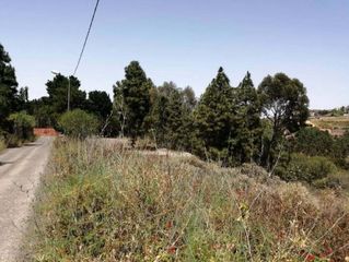 Fondo rustico  C/ lomo obrero. Solvia inmobiliaria  suelo rústico firgas