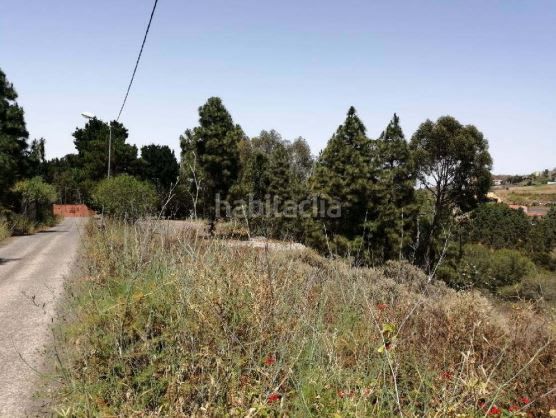 Foto 064167bd-8de4-487f-b825-7e7221af2e73. Finca rústica a Firgas