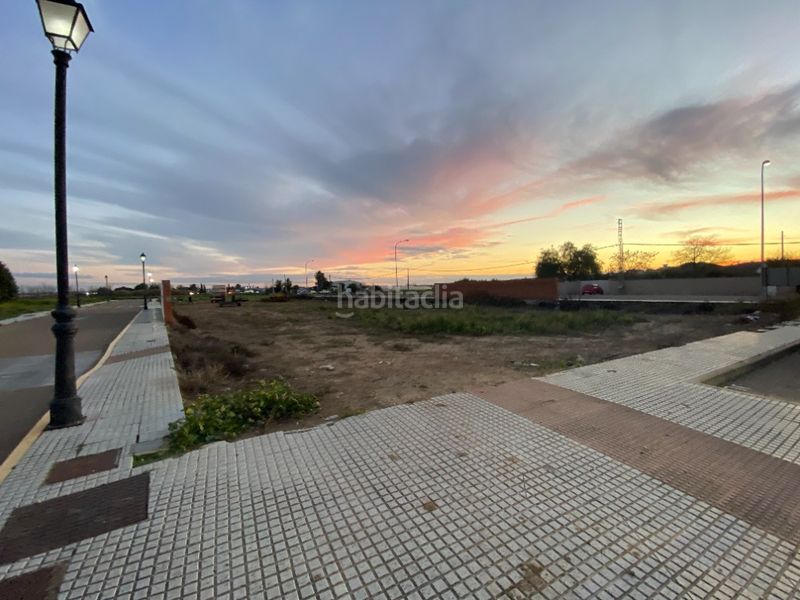 Foto 31d5b2fe-fe93-44a8-a93d-ca16606e32e3. Finca rústica a Montijo