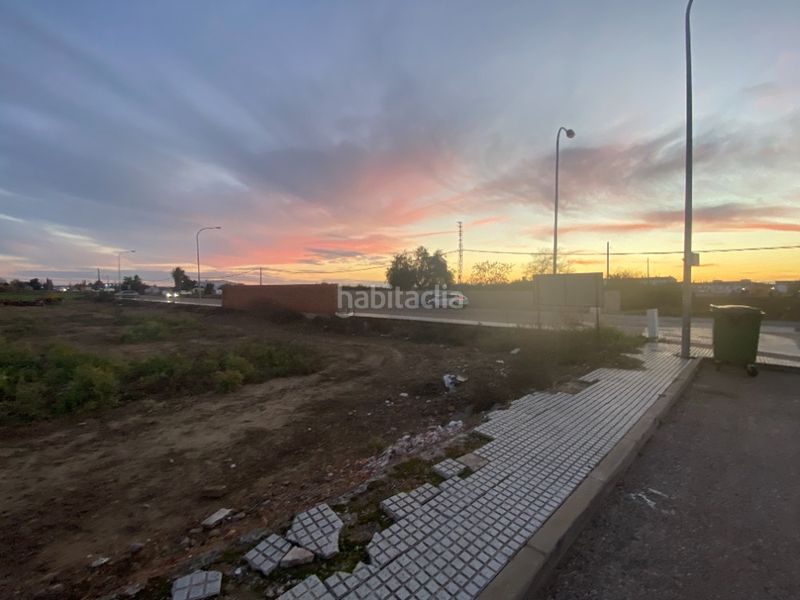 Foto c858feba-4d07-4d78-a4e1-a926aa5e94b3. Finca rústica a Montijo