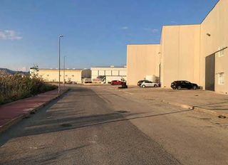 Fabrikhalle  C/ valencia. Solvia inmobiliaria  nave industrial ceutí