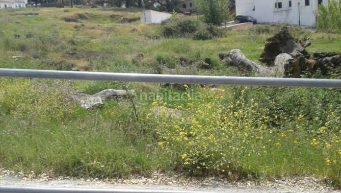 Foto 4d0cb5d4-2501-4ff5-994f-6f3ece56bd07. Finca rústica a Cortegana