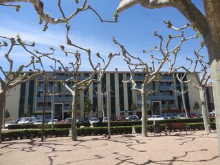 Appartement  Paseo san cosme. Solvia inmobiliaria  piso sils
