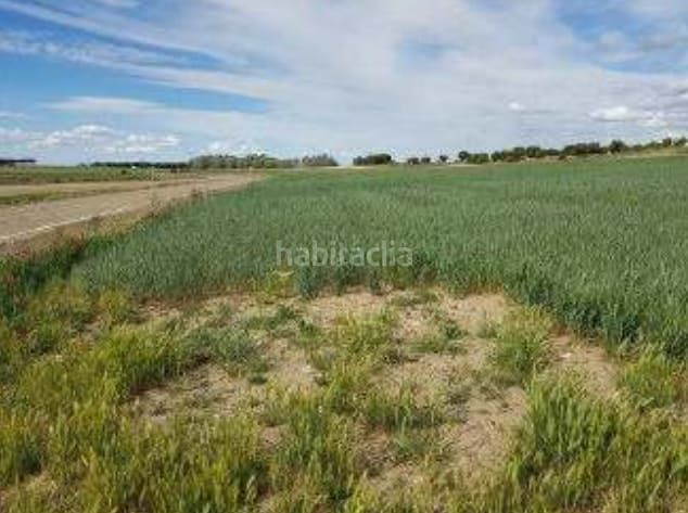 Foto 7c2547e4-b59e-4470-a2ff-7889dae9bbdc. Finca rústica a Bocigas