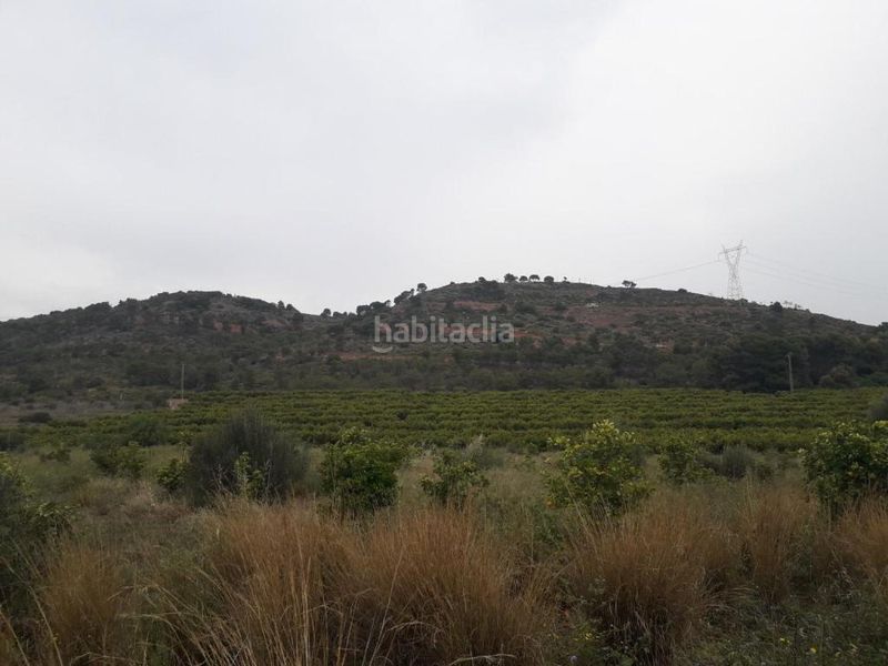 Foto 507ba8c1-8451-49be-80a5-c365ab8beef2. Finca rústica a Almenara