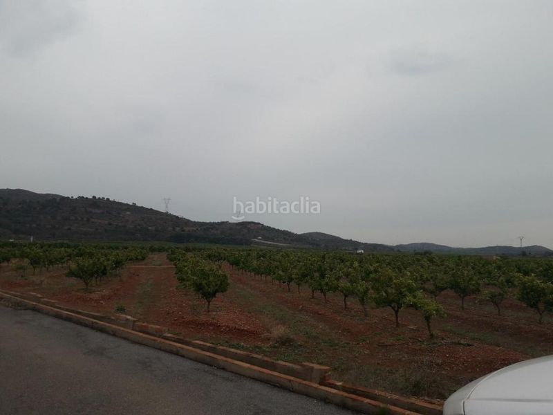 Foto 8193239b-8198-467a-8777-d8d65bbab123. Finca rústica a Almenara