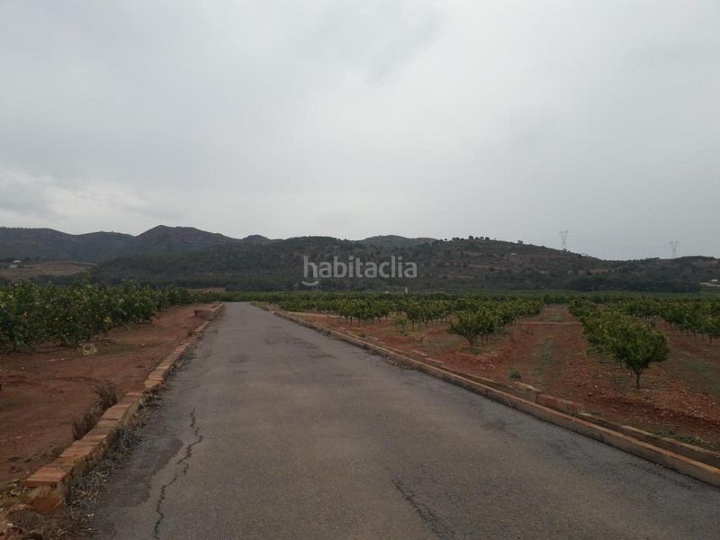 Foto bef577cc-e7a1-4fe6-bbac-606e50ae19de. Finca rústica a Almenara