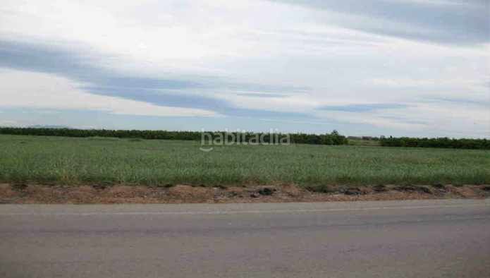 Foto bd7ff152-05d2-4f20-b18e-b1d861278712. Finca rústica a Chilches